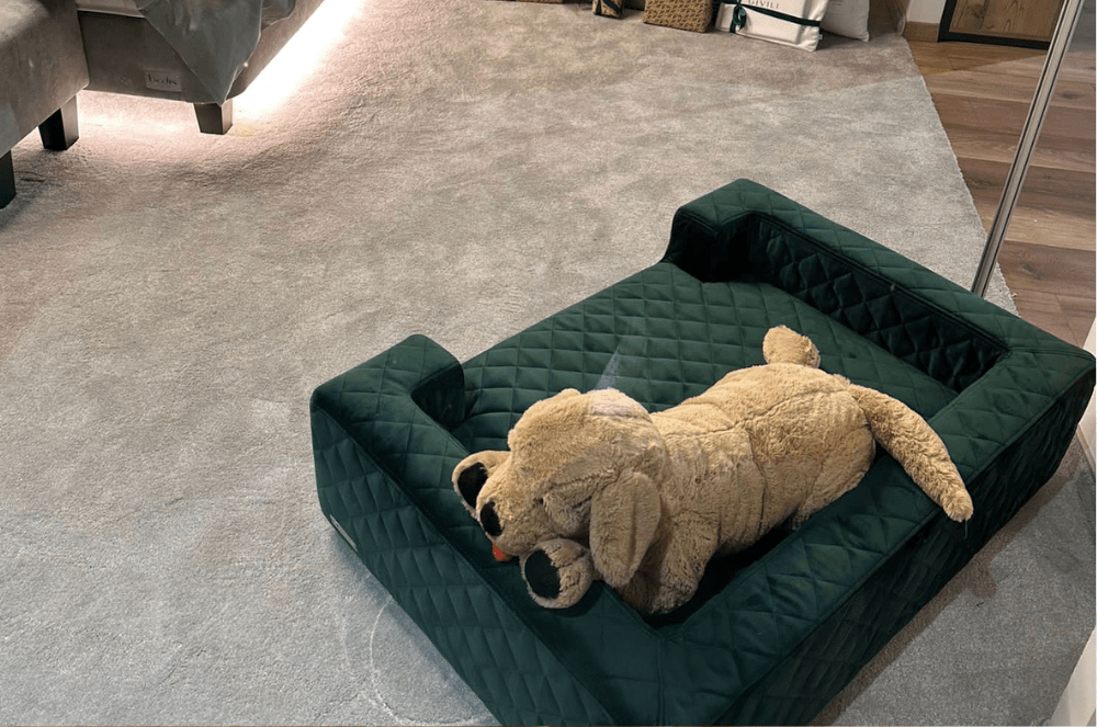 Obrázok článku: Pelech pre psa či mačku – spolupráca s firmou Patroon